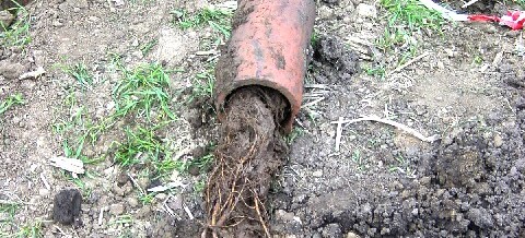 Drainagereinigung Oberdürnbach