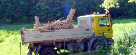 Baumstümpfe entfernen Ravelsbach
