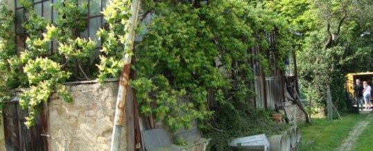 Vorher: Zubau Jagdstüberl Rohrbach