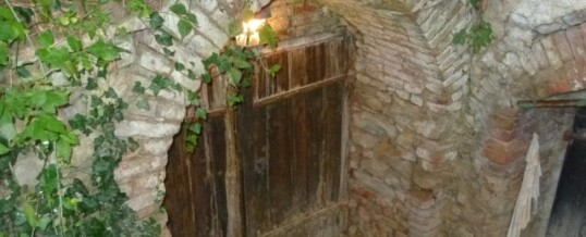 Vorher: Kellereingang Haugsdorf