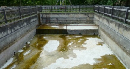 Vorher: Löschteichsanierung Olbersdorf