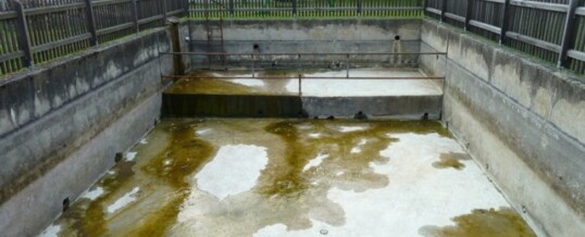 Vorher: Löschteichsanierung Olbersdorf